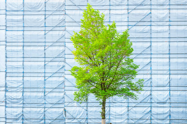 Conceptual background - Under Construction! Growth, development, change and improvement, renewal and preservation. The tree is a symbol of growth and development. Concept web banner
